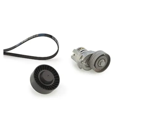 Set curea transmisie cu caneluri K096PK1693 GATES