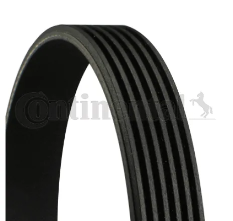 Curea transmisie cu caneluri 6PK900 CONTINENTAL CTAM
