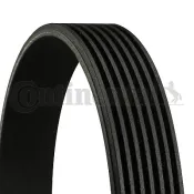 Curea transmisie cu caneluri 7PK1104 CONTINENTAL CTAM