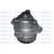 Pompă de apă, răcire motor R230 DOLZ
