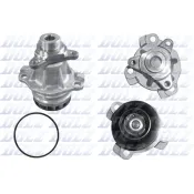 Pompă de apă, răcire motor R237 DOLZ