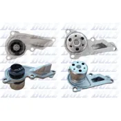 Pompă de apă, răcire motor R241 DOLZ