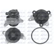 Pompă de apă, răcire motor R243 DOLZ