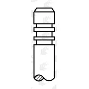 Supapa admisie V94608 AE