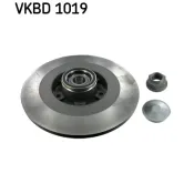 Disc frana VKBD 1019 SKF