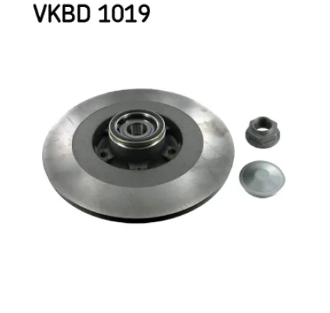 Disc frana VKBD 1019 SKF