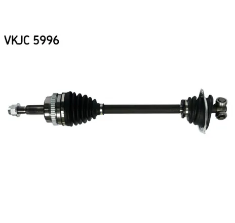 Planetara VKJC 5996 SKF