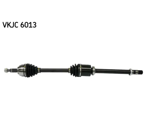 Planetara VKJC 6013 SKF