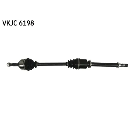 Planetara VKJC 6198 SKF