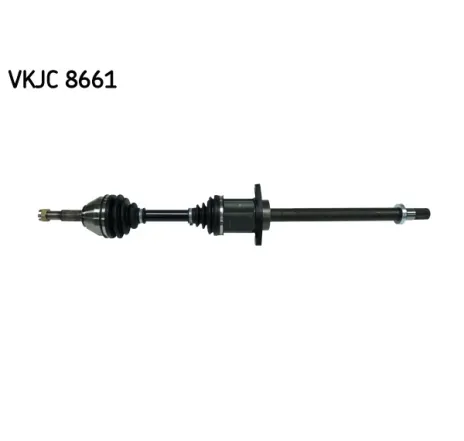 Planetara VKJC 8661 SKF