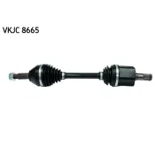 Planetara VKJC 8665 SKF