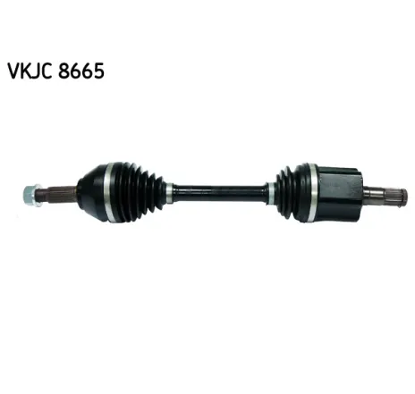 Planetara VKJC 8665 SKF