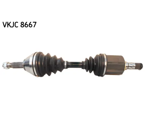 Planetara VKJC 8667 SKF