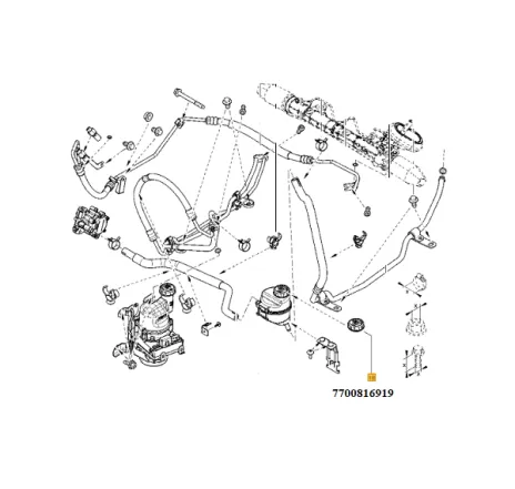 Buson rezervor lichid servodirectie Dacia Logan/Dacia Sandero Renault 7700816919