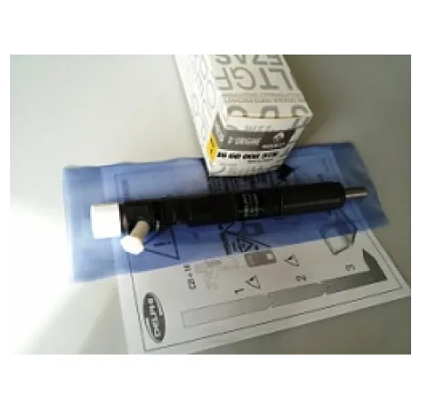 Injector Dacia Logan/Dacia Sandero 1.5 (euro 5) Renault 166000897r