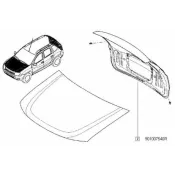 Hayon Duster Renault 901007540r